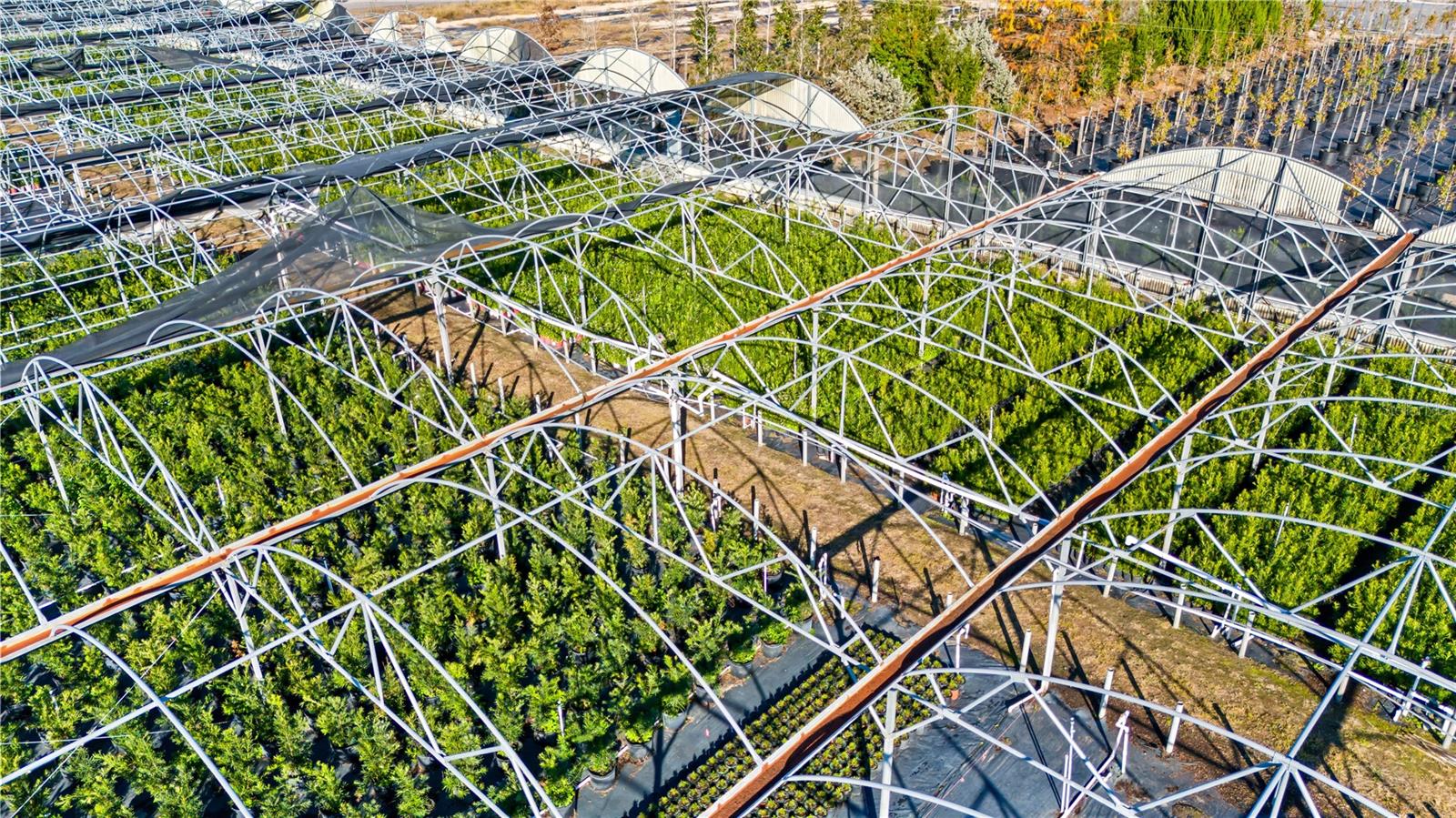 LAKE AVALON GROVES REP - Residential