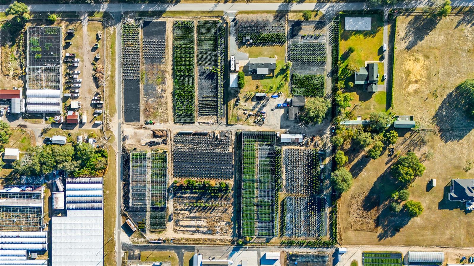 LAKE AVALON GROVES REP - Residential