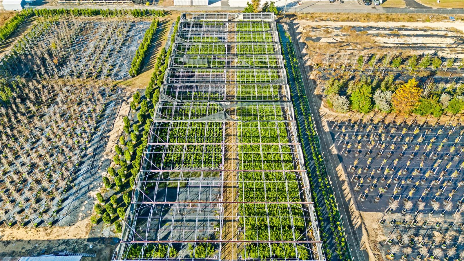 LAKE AVALON GROVES REP - Residential