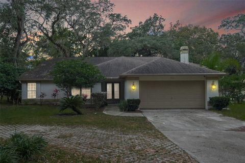 Photo of 812 Buena Vista Avenue, Brooksville, FL 34601 (MLS # W7882071)