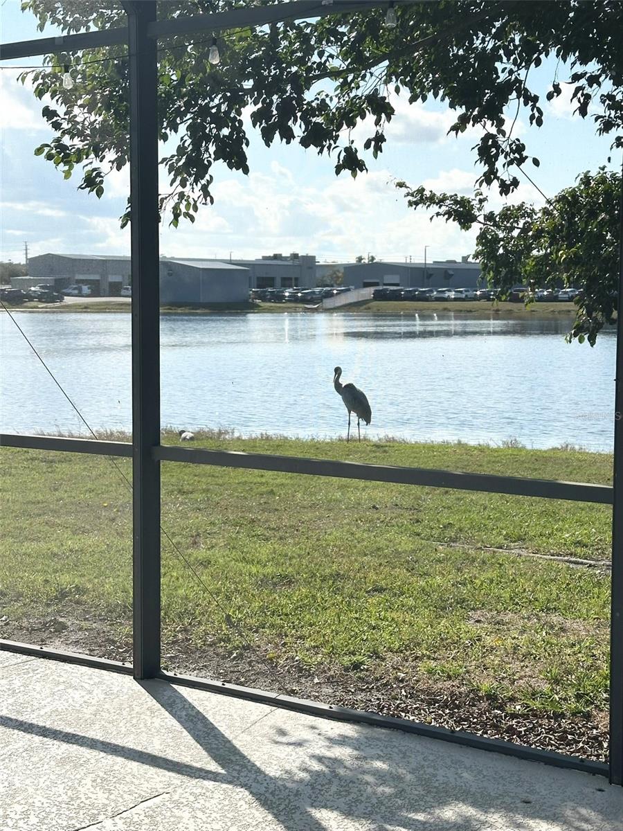 SOUTHCHASE 01A PRCL 05 PH 03 - Residential