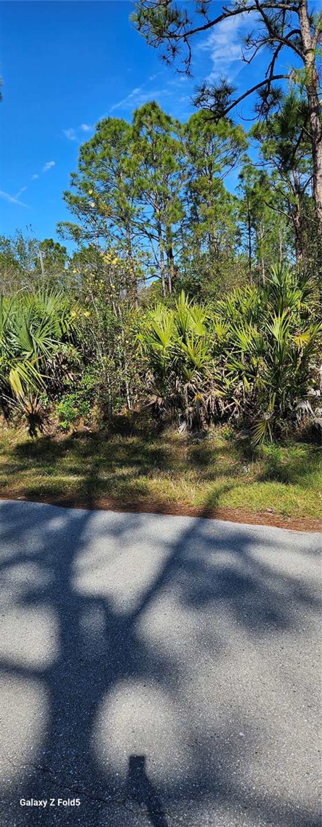 Photo of 27396 Corinthian, Dr, Punta Gorda, FL 33955 (MLS # O6401817)