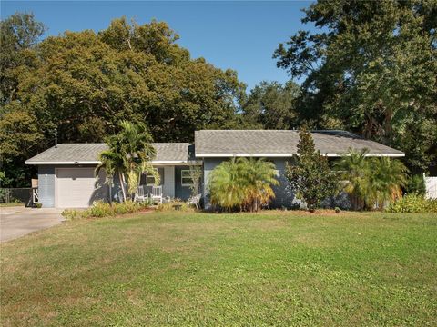 4221 LAKE ELEANOR DRIVE MOUNT DORA FL 32757