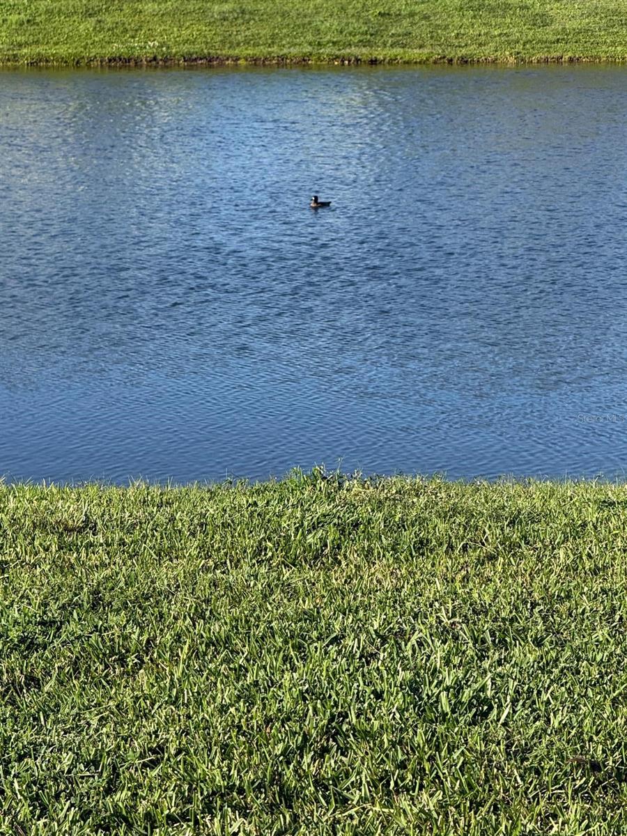 VILLAGES OF GLEN CREEK PH 1B - Residential