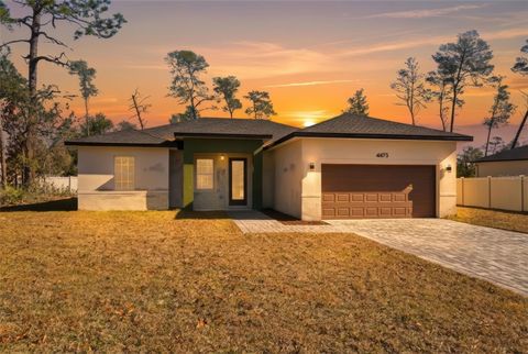 Photo of 4473 SW 168th Lane, Ocala, FL 34473 (MLS # O6409469)