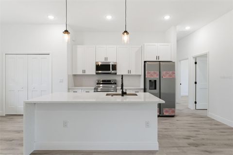Tiny photo for 4473 SW 168th Lane, Ocala, FL 34473 (MLS # O6409469)