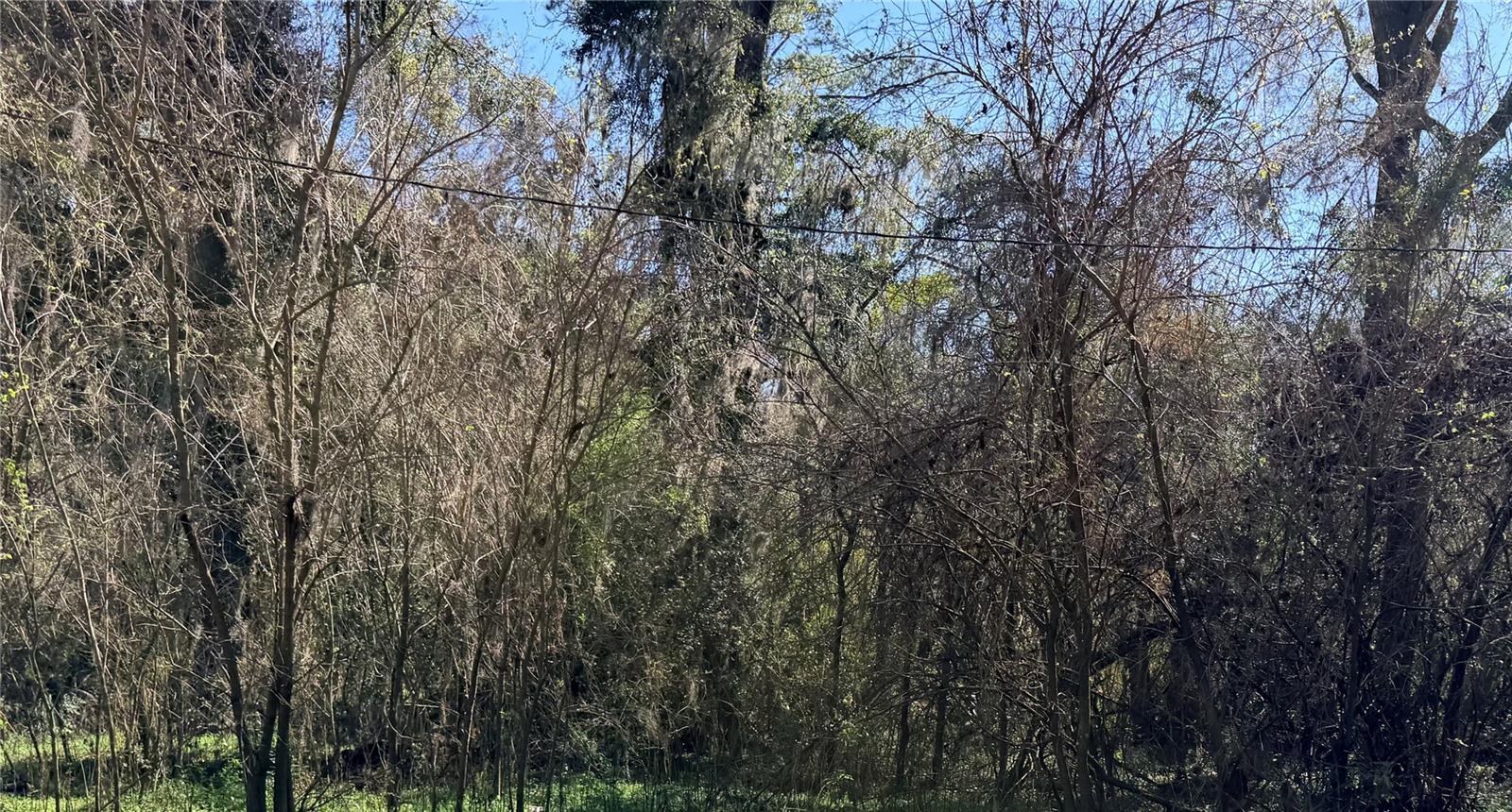 ALACHUA LEROYS ADD - Land