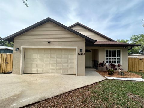 Photo of 24907 NE 135th Street, Salt Springs, FL 32134 (MLS # O6396285)