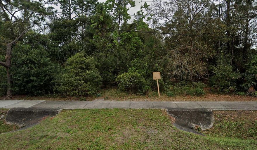 Amazing opportunity to own 2.34 acres in East Orlando. Zoned R-CE and located in a highly desirable and established area with no HOA. Minutes from 417, 408, UCF, Valencia College, and Orlando International Airport. Great lot for investors or anyone with an eye for design. Motivated seller will consider all offers.