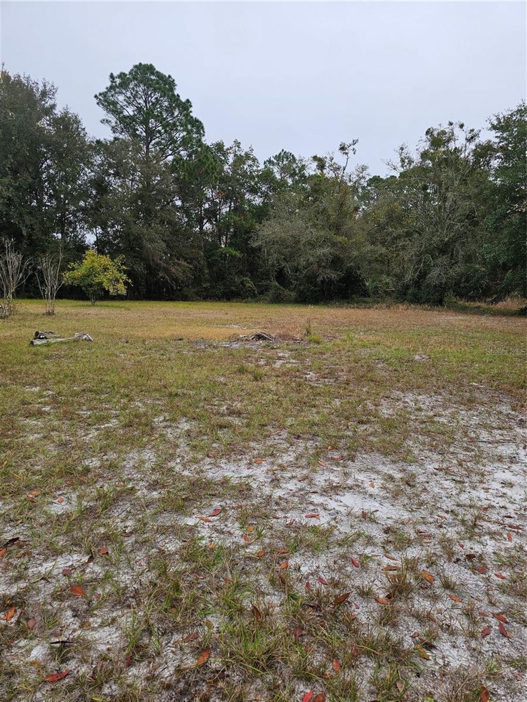 Photo of 130 Sesame Street, Palatka, FL 32177 (MLS # OM714686)