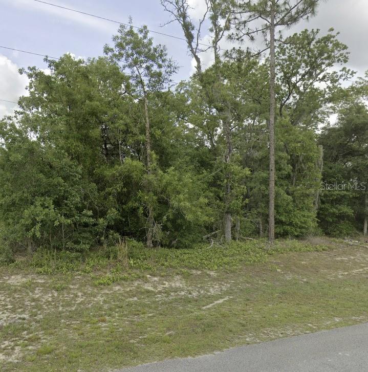 Lot 4 SW 155 PLACE