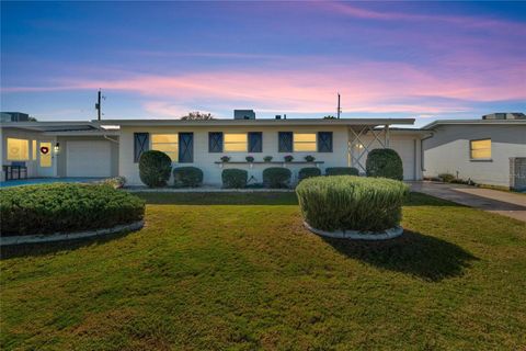 A home in SUN CITY CENTER