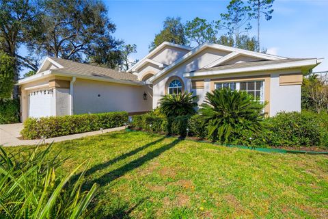 Photo of 5712 Whitebark Drive, Wesley Chapel, FL 33543 (MLS # TB8463430)