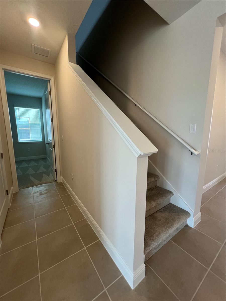 HILLS OF MINNEOLA - Residential