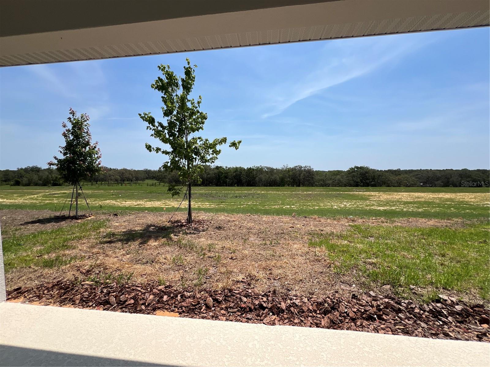 HILLS OF MINNEOLA - Residential