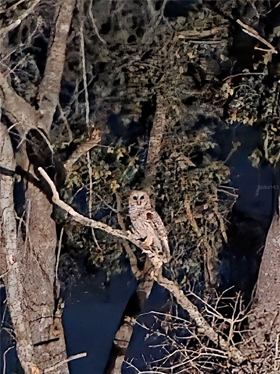 HORSE CRK ACRES - Residential