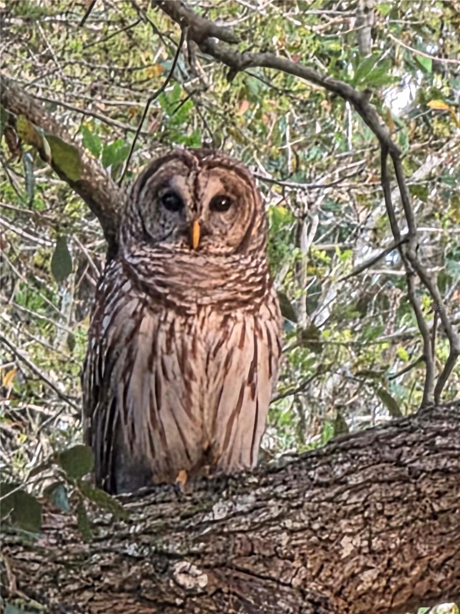 HORSE CRK ACRES - Residential