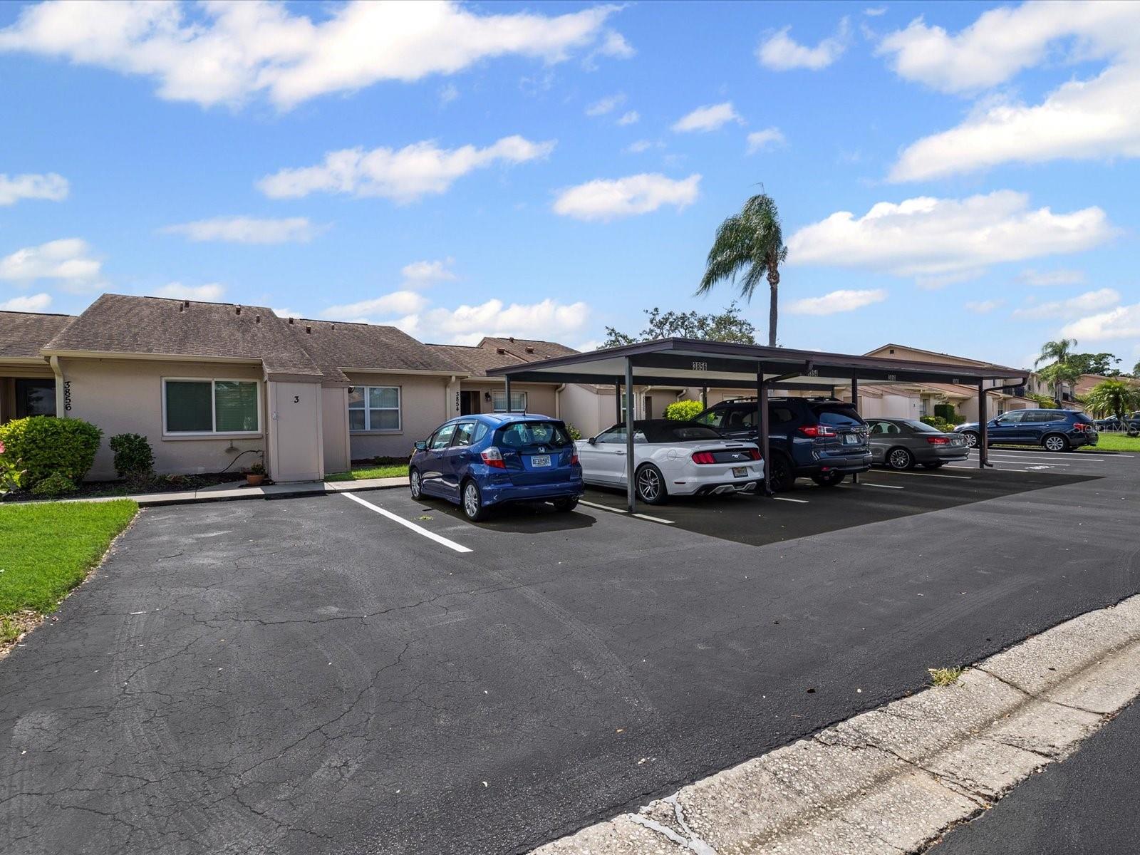 HOLIDAY LAKE VILLAS CONDO - Residential