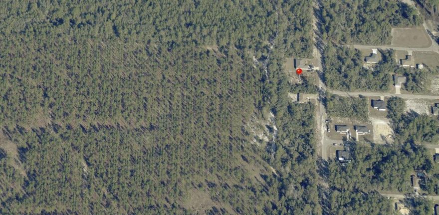 NO HOA- NO FLOOD ZONE- FULLY BUILDABLE -FLAT LOT  ***BACKS UP TO OVER 1, 400 ACRES OF NATURAL FOREST PRESERVE LAND***
HALF CLEARED & HALF TREES- ELECTRIC POLES ON EACH SIDE OF LOT.  
Nestled in the growing area of the Ocala National Forest.  This lot is 80 x 125 feet.cklawaha is a haven for outdoor enthusiasts, surrounded by near-endless opportunities for adventure. It is close to the Ocala National Forest, offering thousands of acres to explore, hike, or simply bask in the Florida sunshine. The forest is home to an array of trails, perfect for horse-back riding, ATV, and cycling ventures. Furthermore, it's in proximity to the Ocklawaha River, Lake Weir, Lake Bryant, and 600 other lakes and rivers, which are perfect spots for boating, fishing or simply relaxing by their tranquil waters.