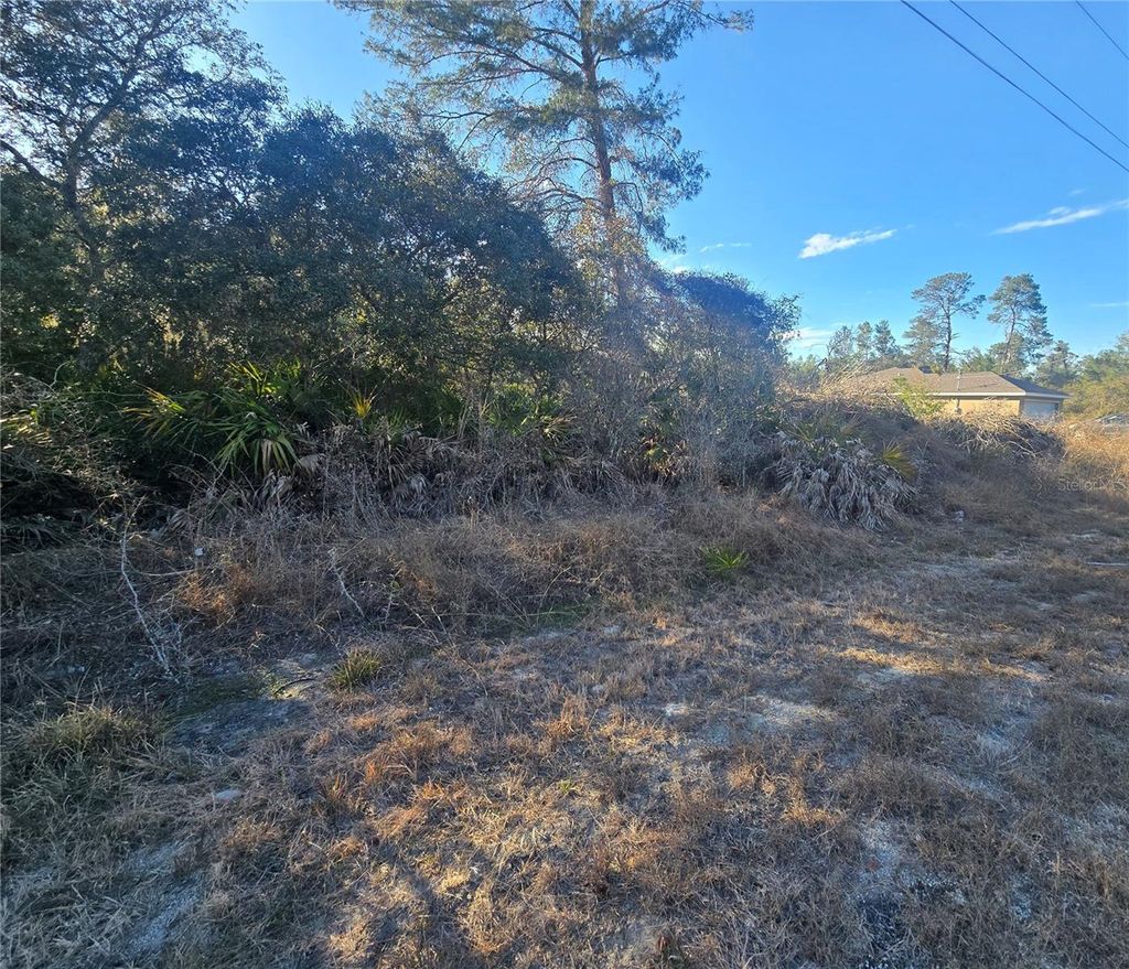 Photo of Malauka Pass Crse, Ocklawaha, FL 32179 (MLS # OM718417)
