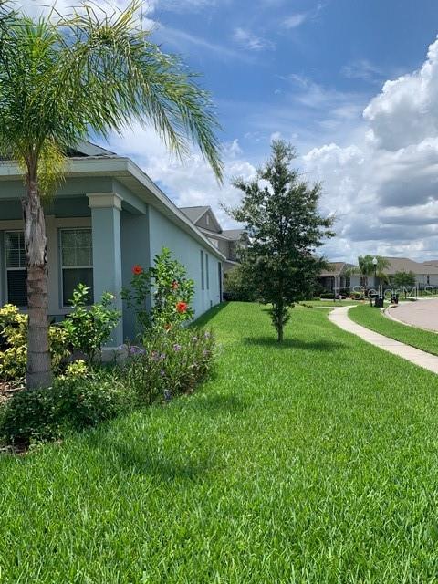 WYNDHAM LAKES ESTATES - Residential