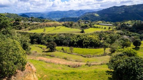 Road 152 CAMINO LAS ORQUIDEAS ROAD BARRANQUITAS  00794