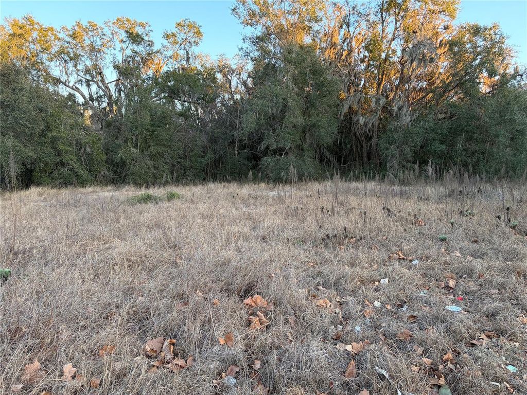 Photo of 13434 Maryland Avenue, Astatula, FL 34705 (MLS # G5107833)