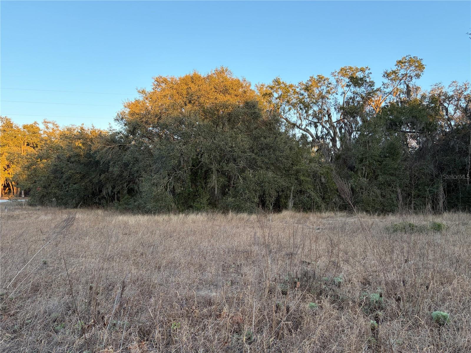 13434 MARYLAND AVENUE