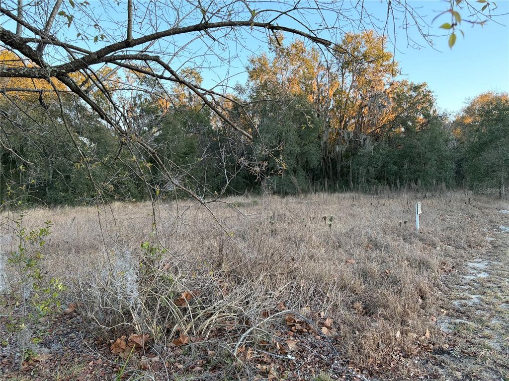 Photo of 13434 Maryland Avenue, Astatula, FL 34705 (MLS # G5107833)