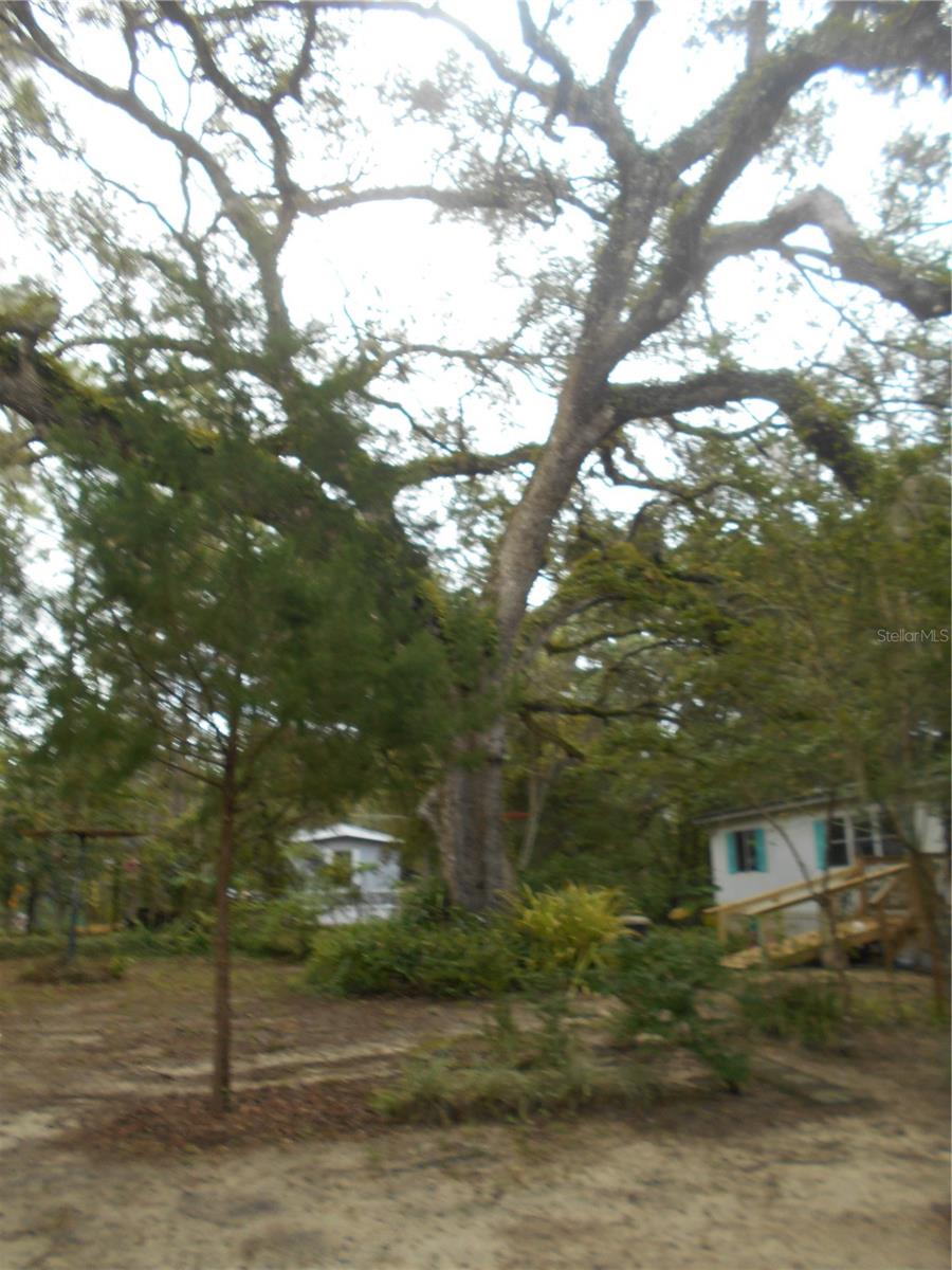 FRST HILLS CAMPSITES - Residential