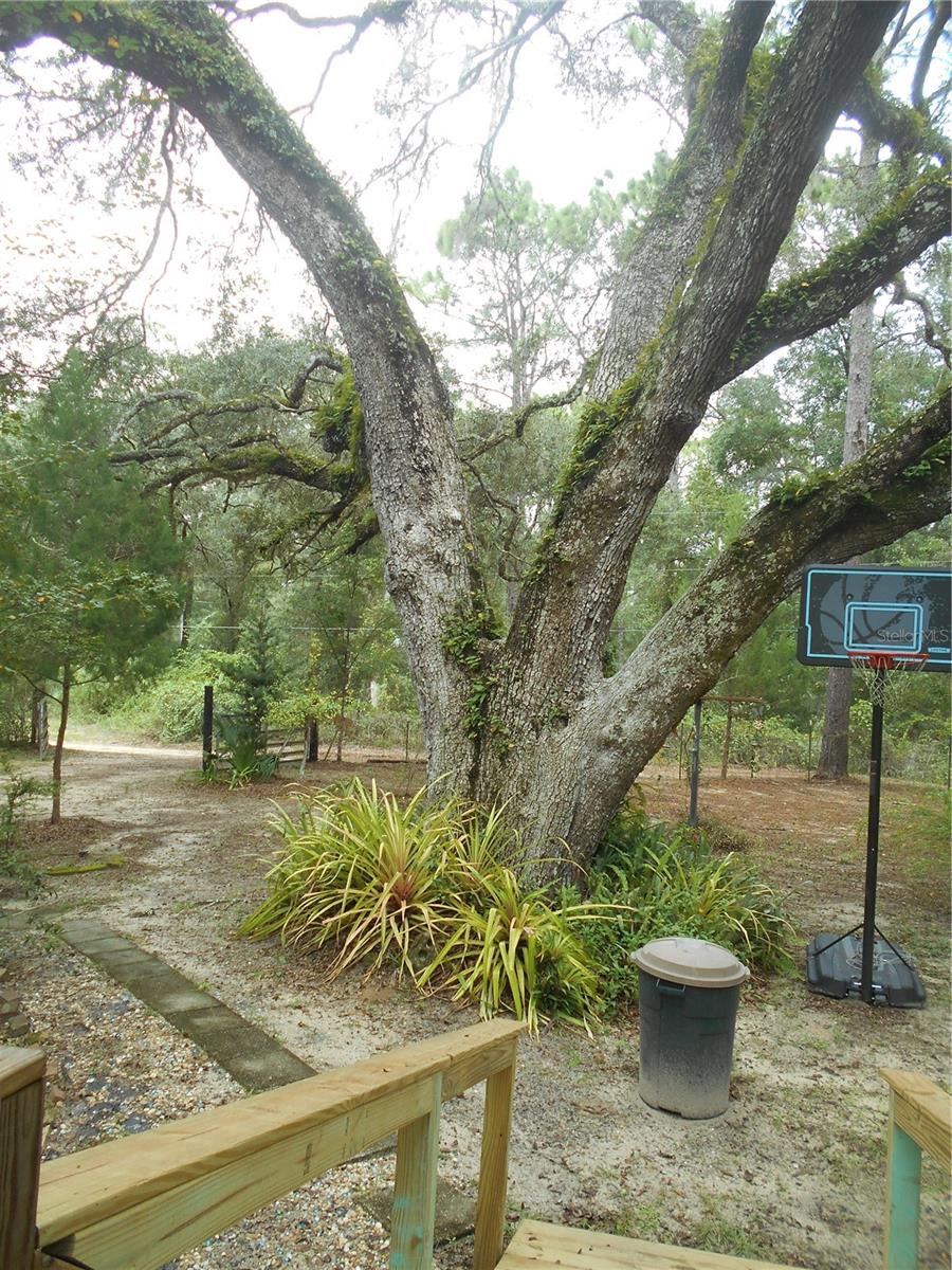 FRST HILLS CAMPSITES - Residential