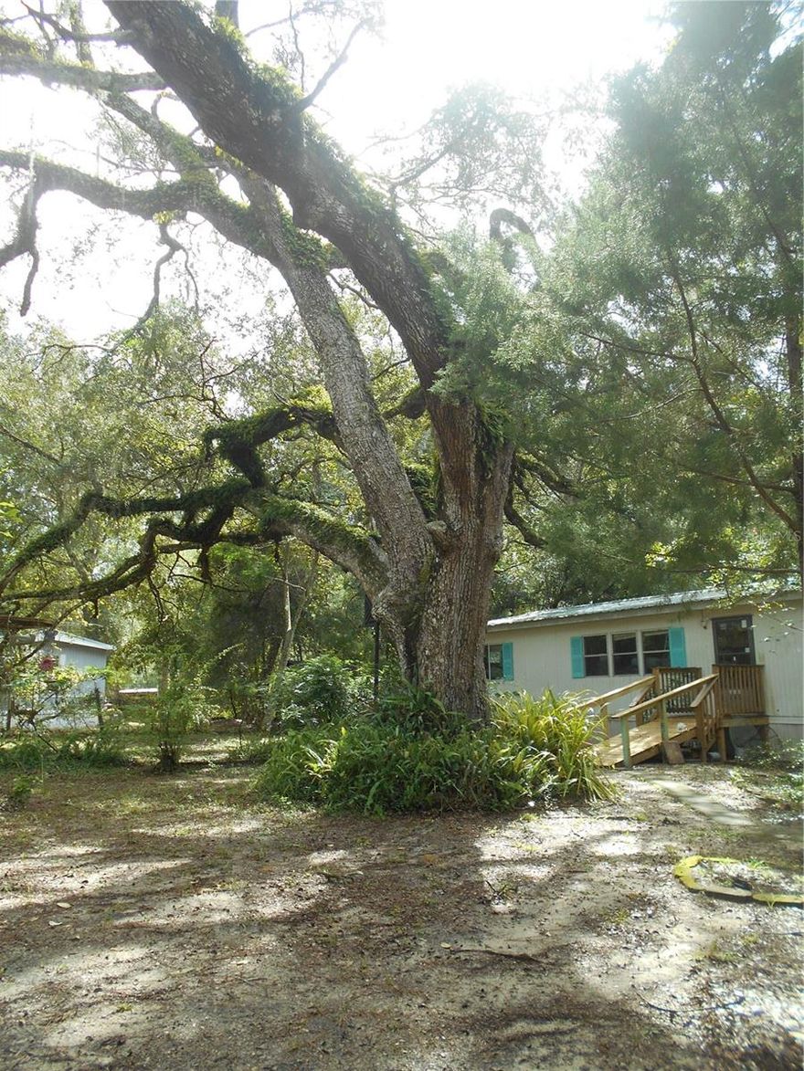Discover the beauty of Salt Springs! Nestled in the heart of the Ocala National Forest, this spacious double-wide mobile home offers peaceful living  surrounded by lakes, natural springs, and endless outdoor adventure. Featuring a split floor plan, and including all major appliances—oven/stove, refrigerator, washer, and dryer—this home is truly move-in ready. Enjoy the serenity of mature landscaping shaded by gorgeous granddaddy oaks in a quiet, welcoming neighborhood. Whether you’re looking for a weekend getaway or a full-time residence, this hidden gem is the best-kept secret in Florida’s nature paradise. Seller is motivated—come see it today and make it yours! Salt Springs is known for its outdoor lifestyle, camping/hiking/boating/hunting. Close enough to Palatka and Ocala for major shopping/medical/eateries. Lake Kerr is a spring fed lake, and Lake George, the 2nd largest lake in Florida is close by! PS. PROPERTY GOES FROM STREET TO STREET, PLENTY OF ROOM TO PARK YOUR TOYS OR RV. SELLER UPDATED DRAIN FIELD/AC/DUCT/ELEC PANEL!!!!!