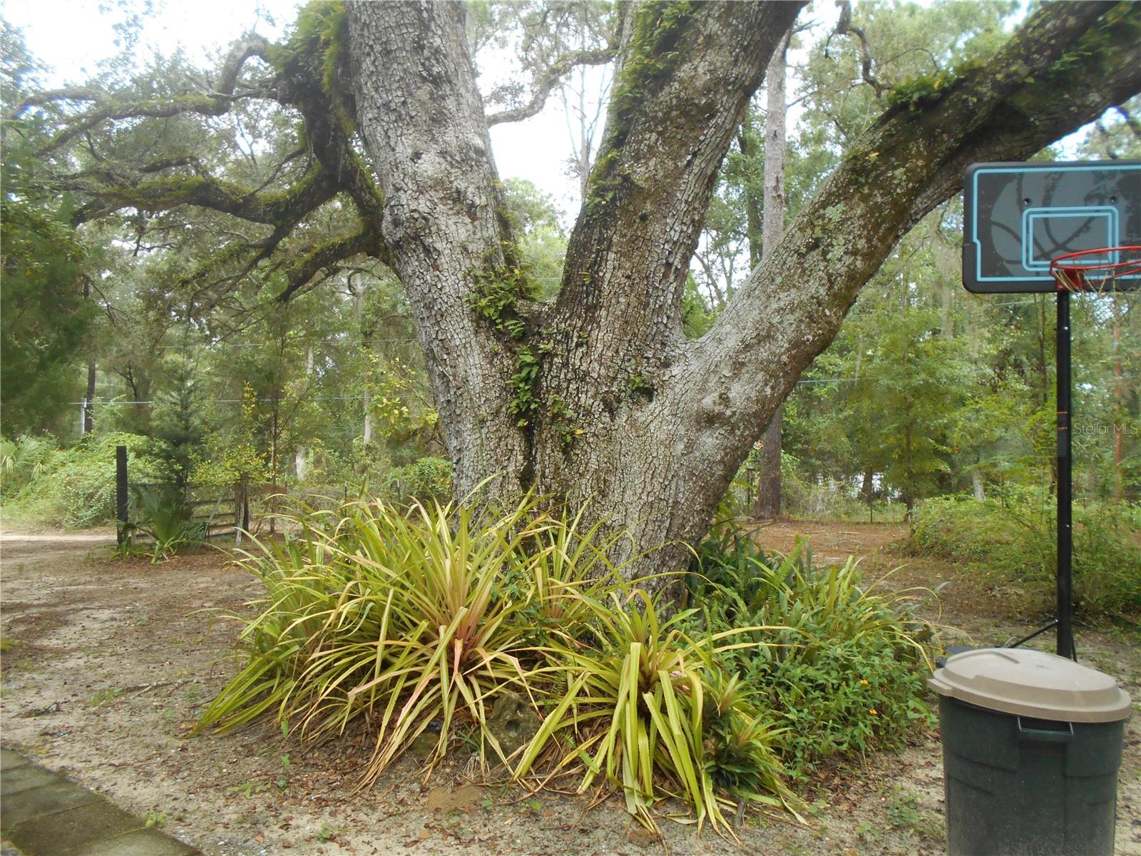 FRST HILLS CAMPSITES - Residential