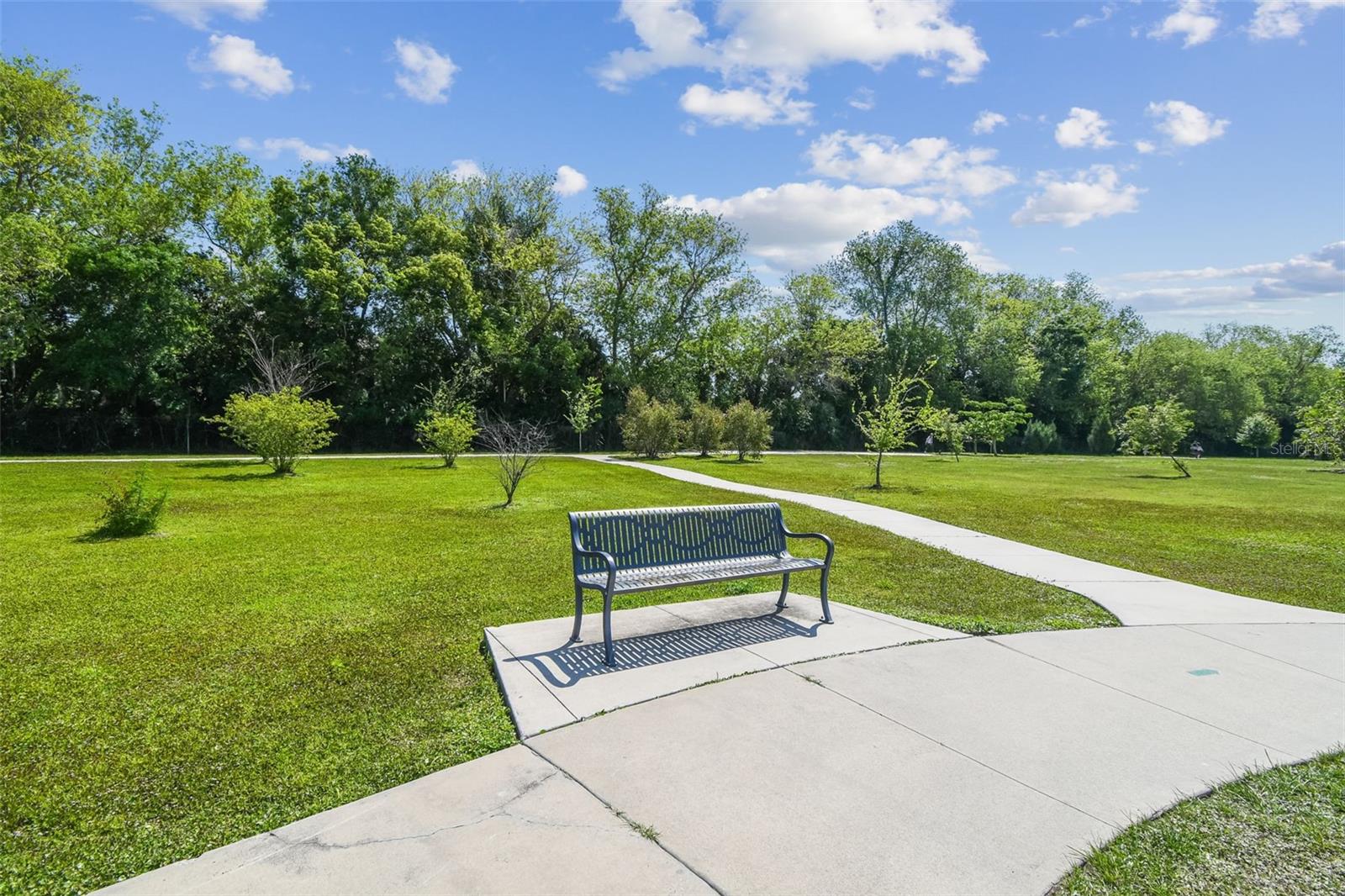 NORTHROP TERRACE - Residential