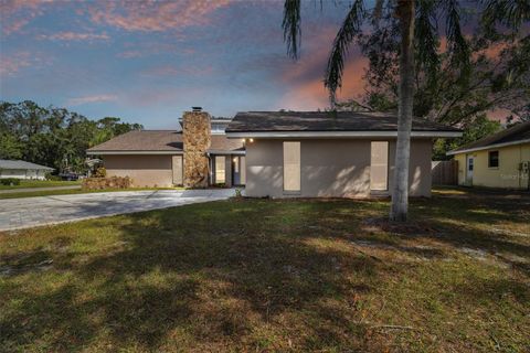 A home in PLANT CITY