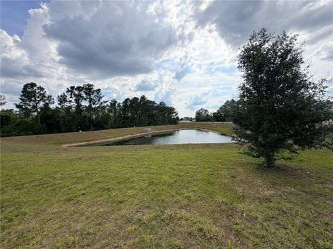 Tiny photo for 16419 Glassy Loch Loop, Clermont, FL 34714 (MLS # TB8506992)