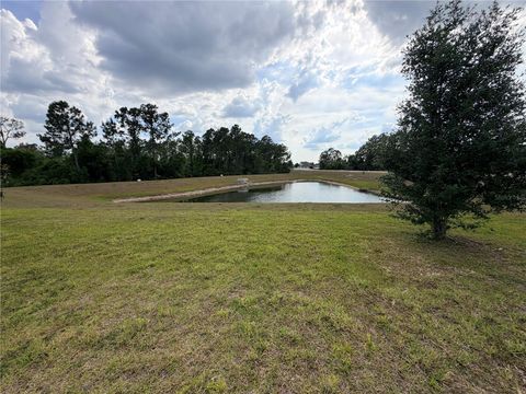 Tiny photo for 16419 Glassy Loch Loop, Clermont, FL 34714 (MLS # TB8506992)