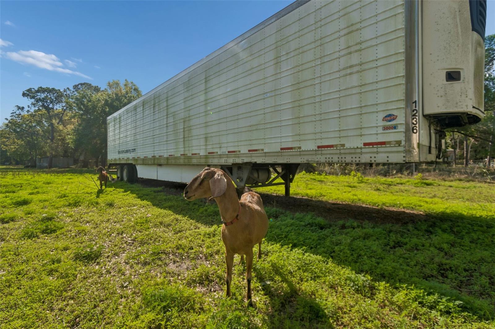 UNPLATTED - Commercial Sale