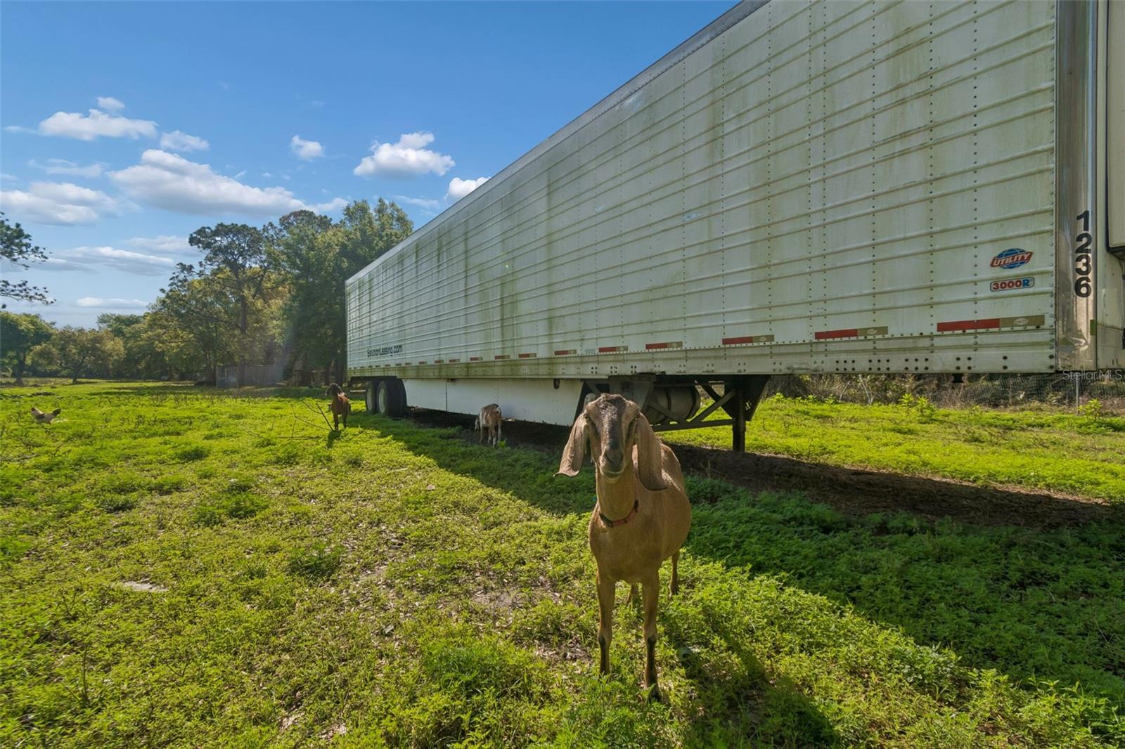 UNPLATTED - Commercial Sale