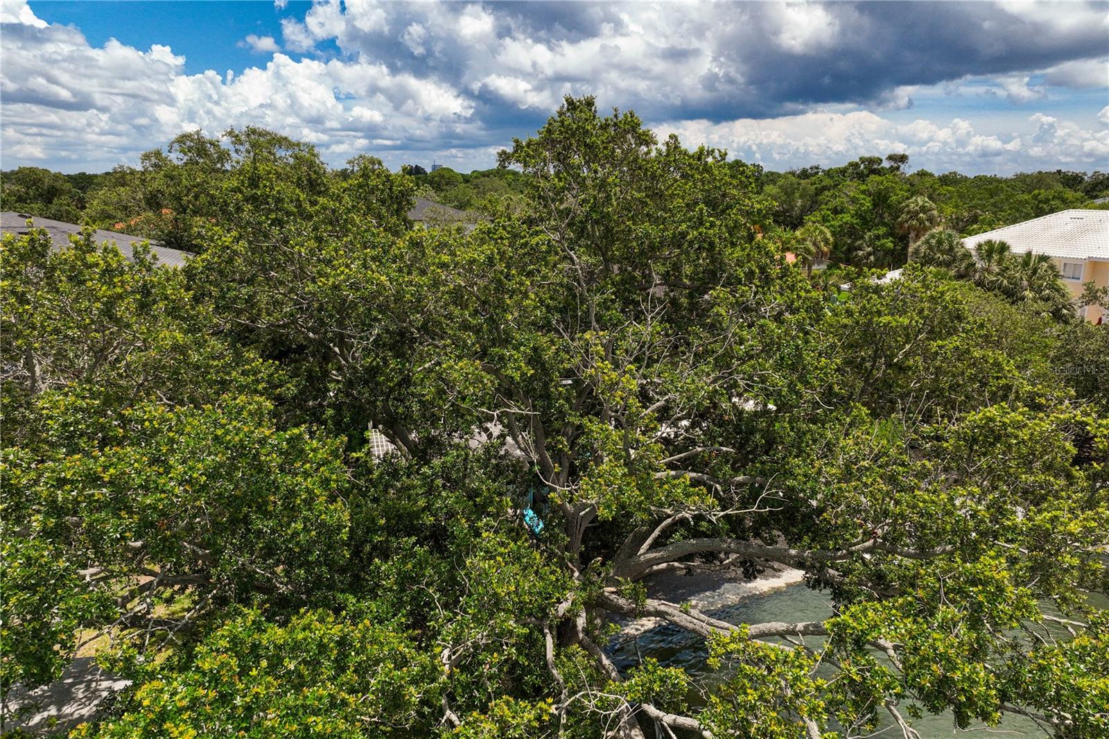 CAROL SHORES - Residential