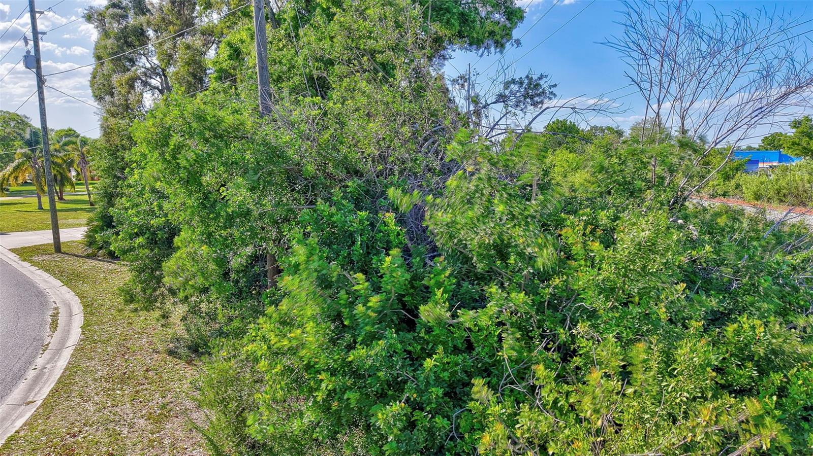 PINELLAS GROVES - Land