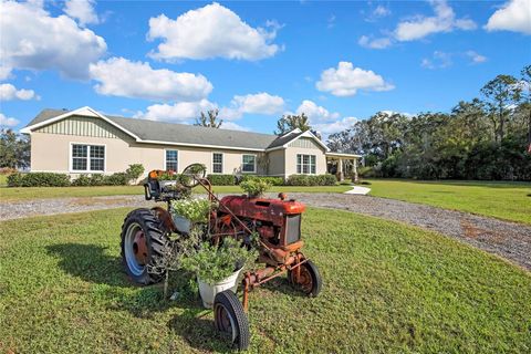 Photo of 36431 Florrie Mae Lane, Dade City, FL 33523 (MLS # W7880574)