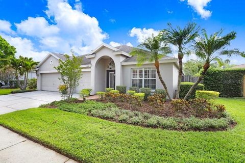 10231 MILLPORT DRIVE TAMPA FL 33626