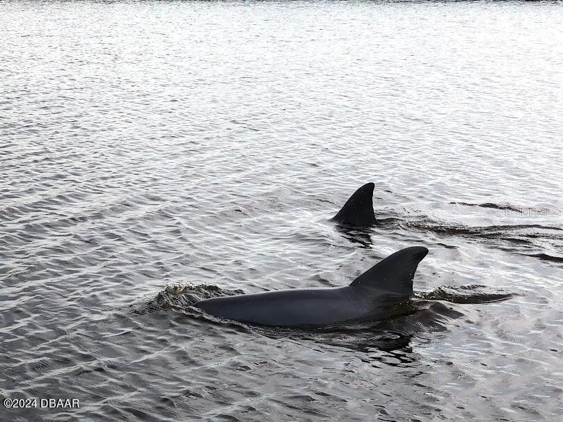 ALIKI CONDO - Residential