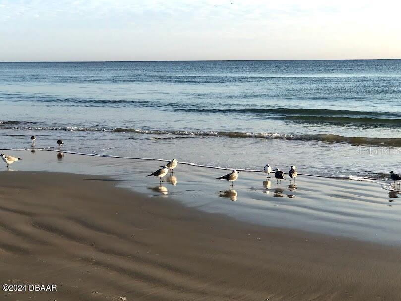 ALIKI CONDO - Residential