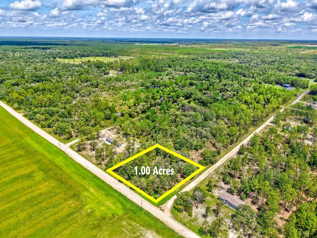 Discover the perfect canvas for your dream home or investment on this spacious 1-acre residential lot in Williston, FL. With no HOA, this property offers the privacy and flexibility you're looking for—whether you're building a custom home, creating a multi-generational compound, or securing land in one of Florida’s fastest-growing cities. You'll enjoy the convenience of being just minutes from I-95 and Florida’s Turnpike, making commuting a breeze. Don't miss your chance to own a full acre in a well-established yet rapidly developing area. Drive by today and explore the possibilities!