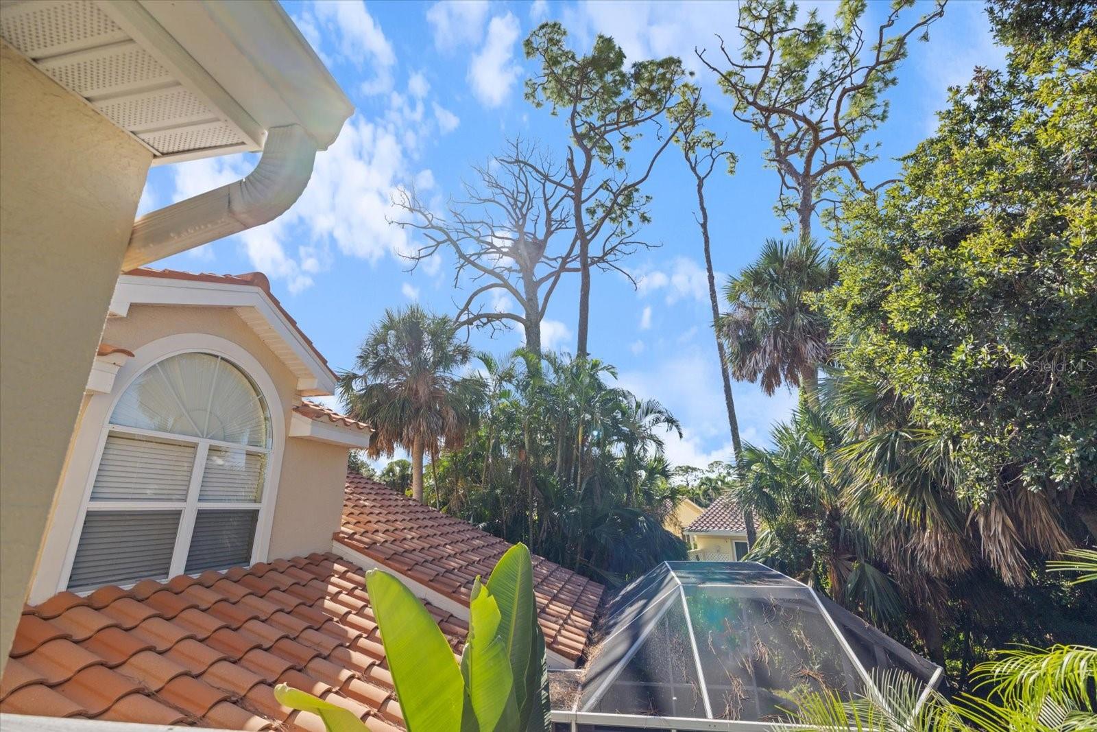 BLACKBURN POINT WOODS - Residential