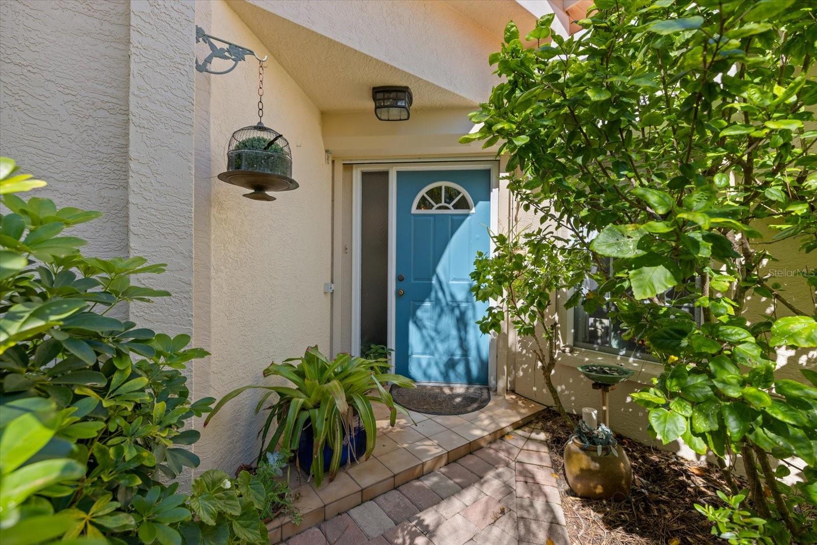 BLACKBURN POINT WOODS - Residential