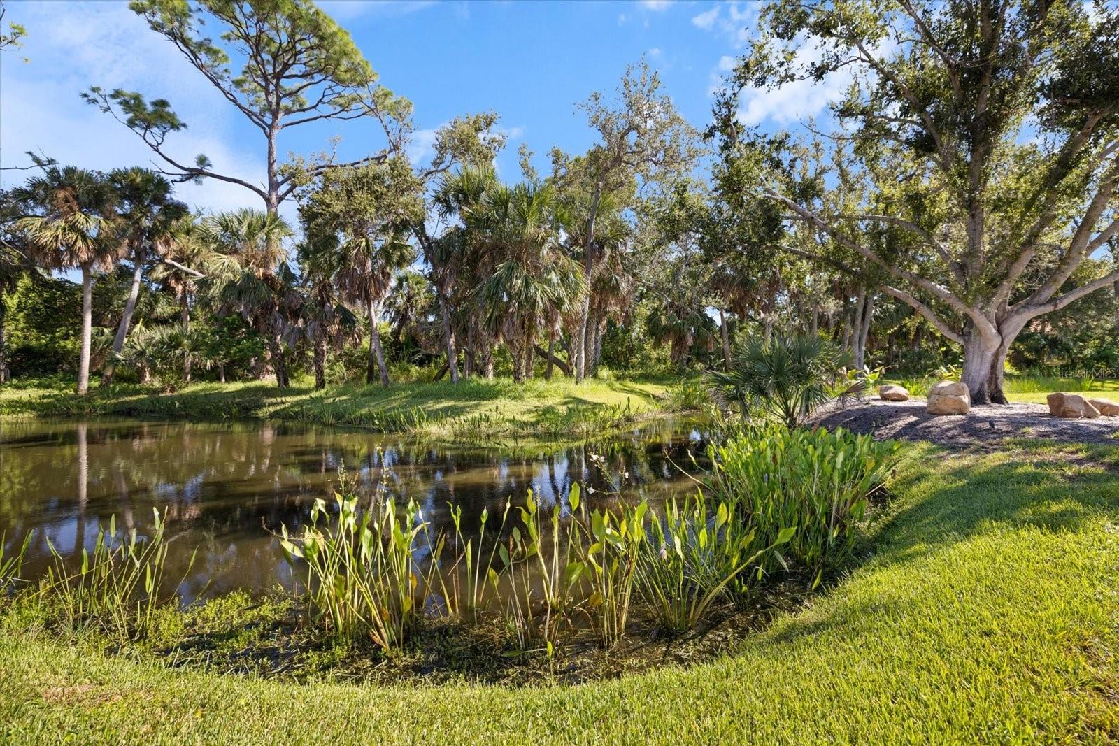 BLACKBURN POINT WOODS - Residential