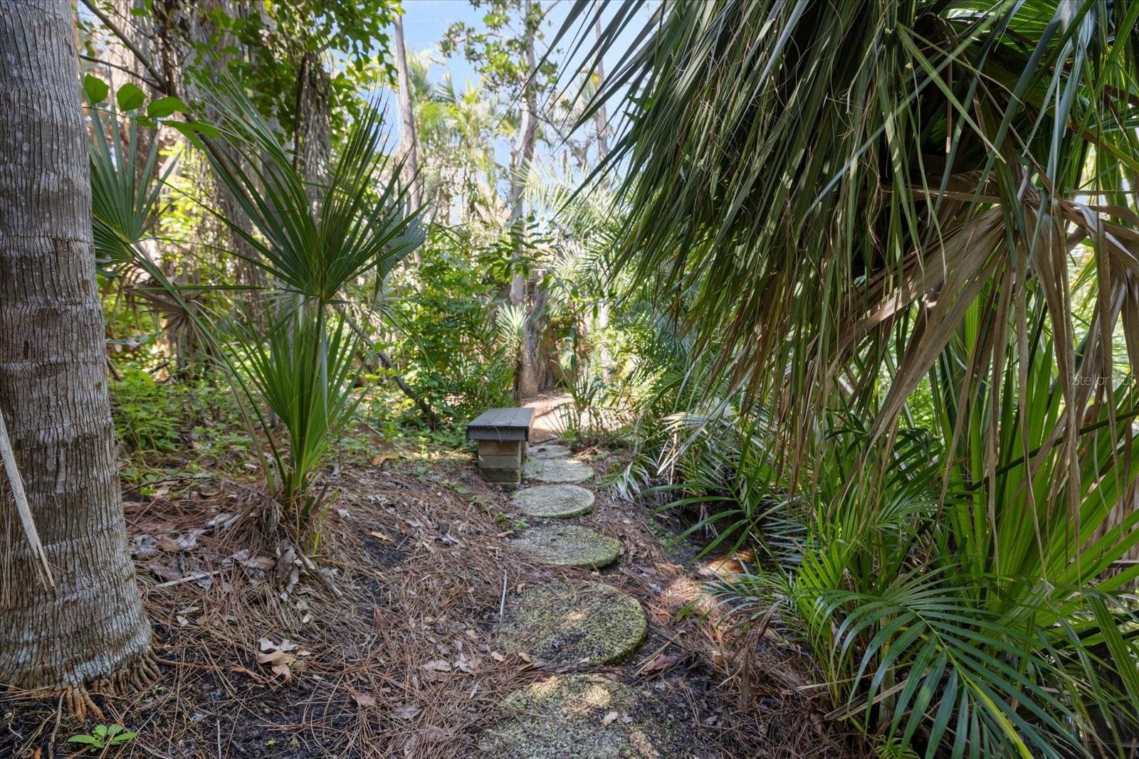 BLACKBURN POINT WOODS - Residential